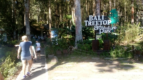 exploring the treetop adventure in bali