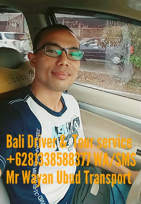 Mr Wayan bali driver
